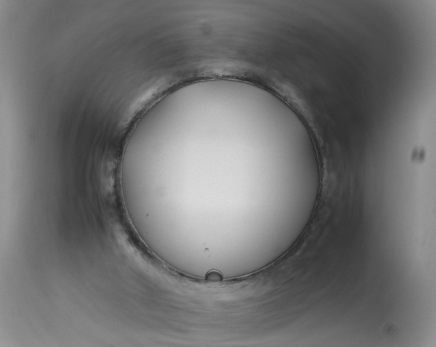 X0000113210010200910011331