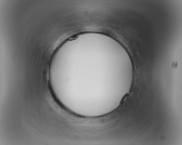 X0000113210011200910011331