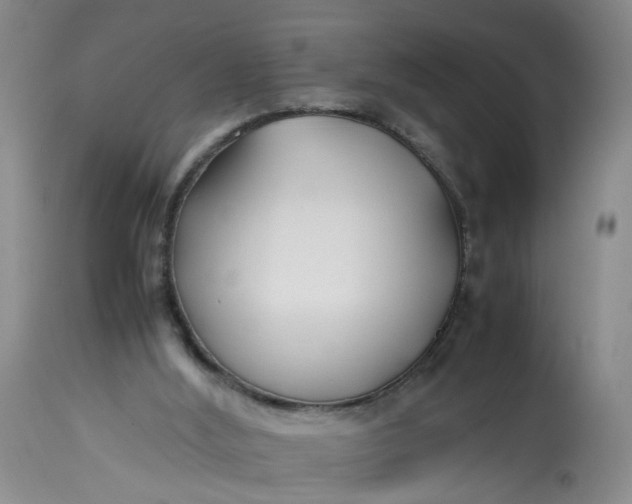 X0000113210012200910011331