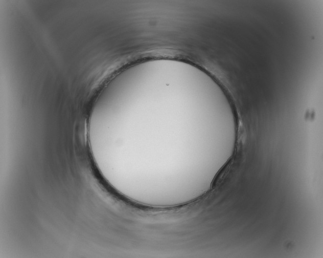 X0000113210013200910011331