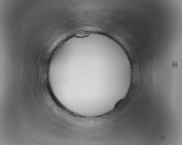 X0000113210015200910011331