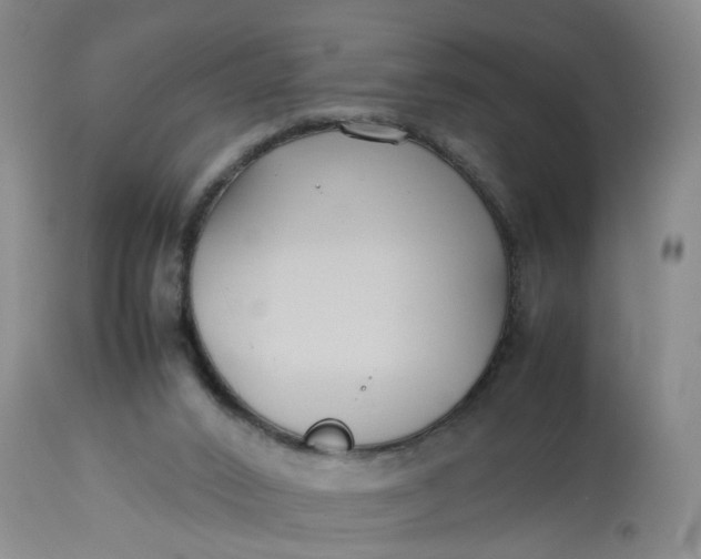 X0000113210016200910011331