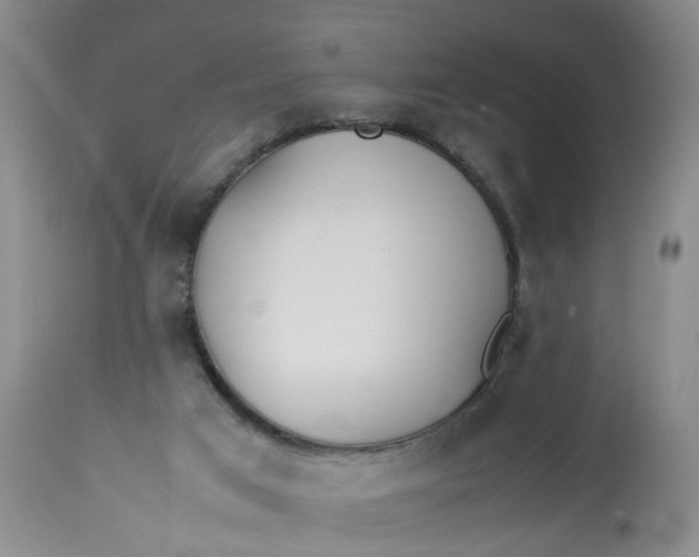 X0000113210017200910011331