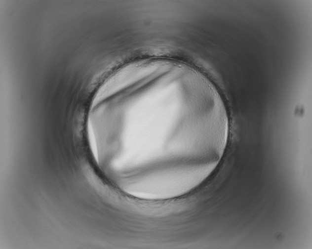 X0000113210018200910011331