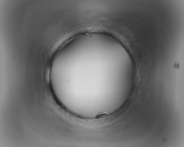 X0000113210019200910011331