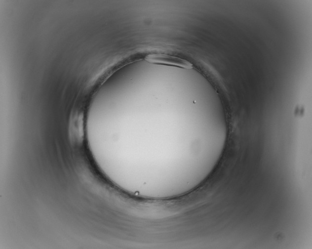 X0000113210020200910011331