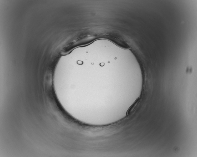 X0000113210021200910011331