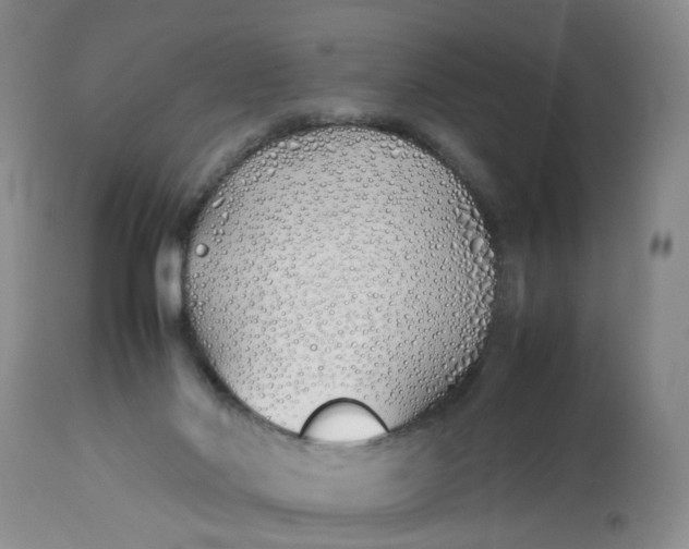 X0000113210022200910011331