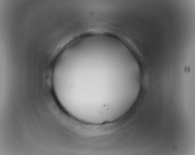 X0000113210023200910011331