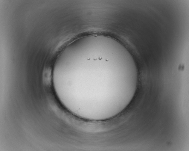 X0000113210024200910011331