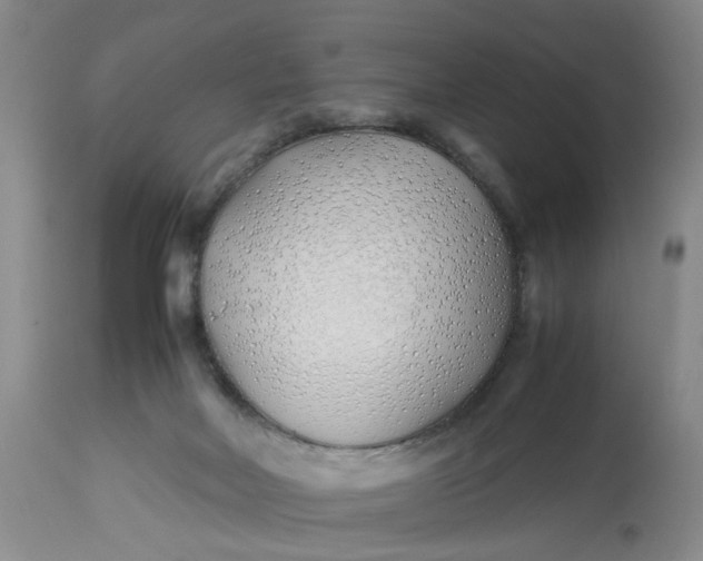 X0000113210026200910011331