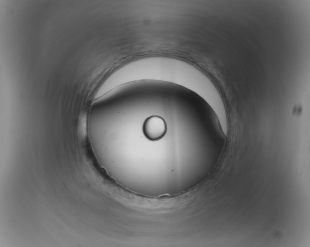 X0000113210027200910011331