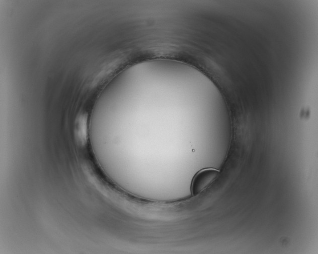 X0000113210028200910011331