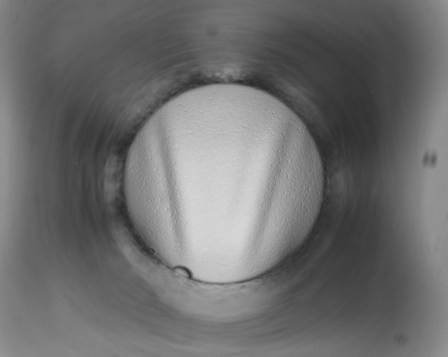 X0000113210030200910011331