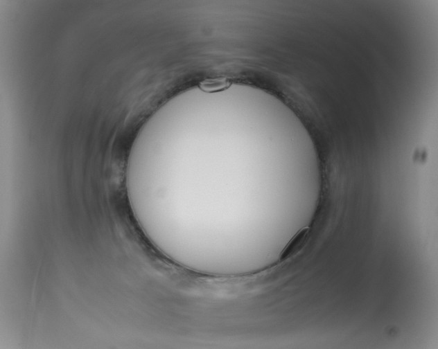 X0000113210033200910011331