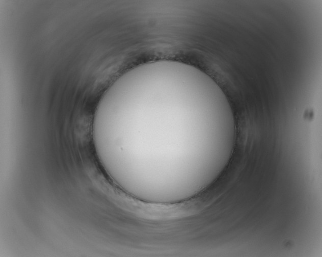 X0000113210034200910011331