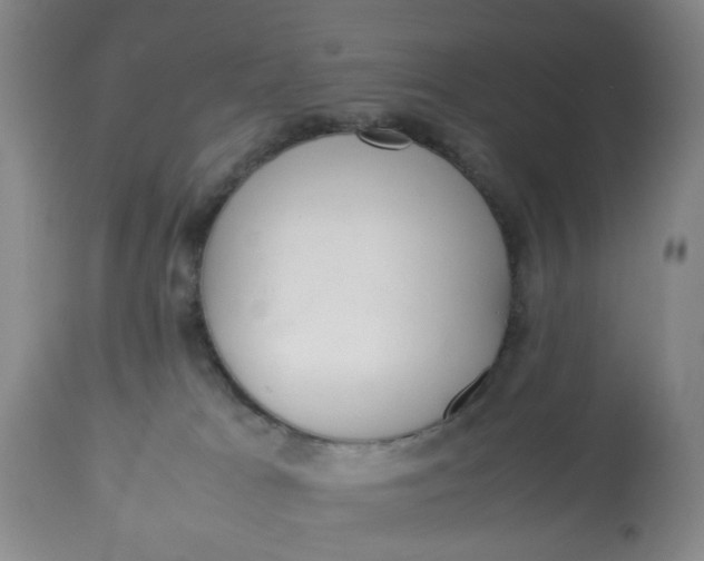 X0000113210037200910011331