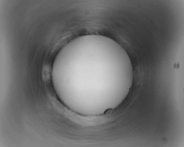 X0000113210038200910011331