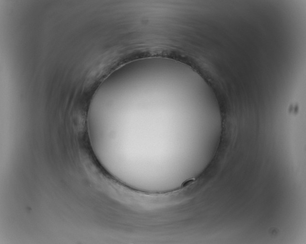 X0000113210039200910011331