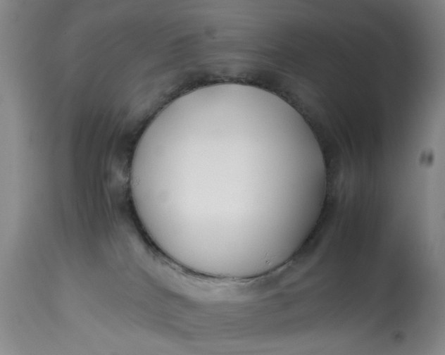 X0000113210040200910011331