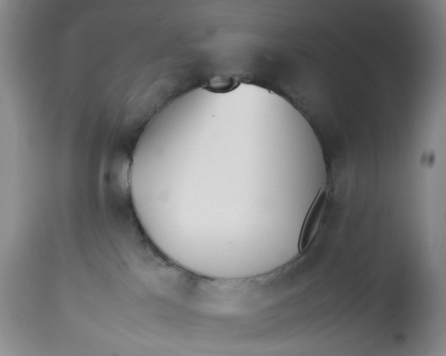 X0000113210041200910011331