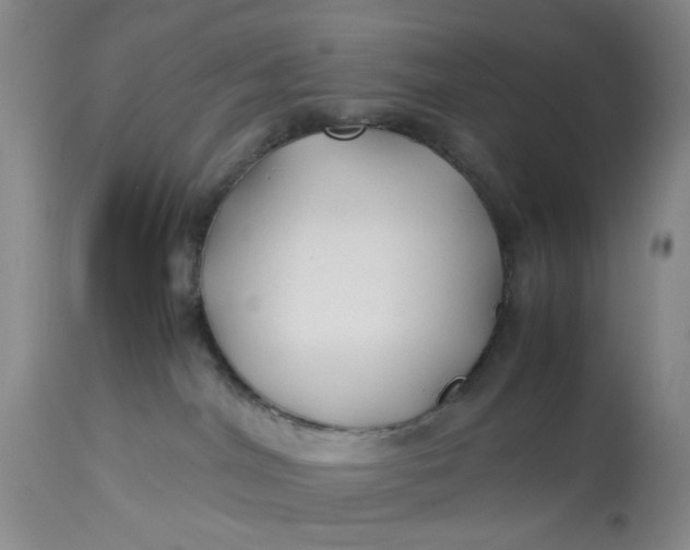 X0000113210044200910011331