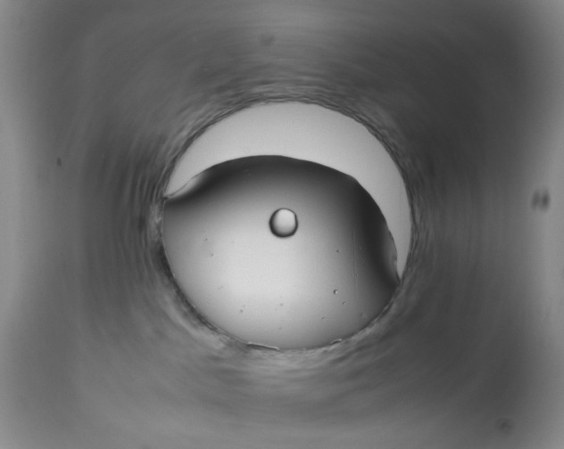 X0000113210045200910011331