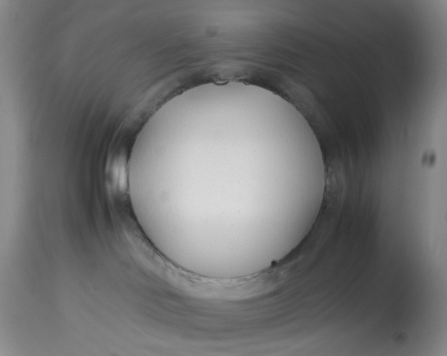 X0000113210046200910011331