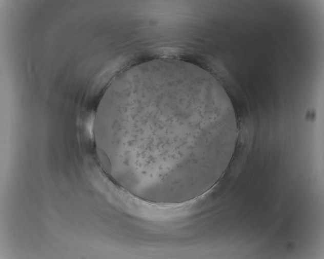 X0000113210047200910011331