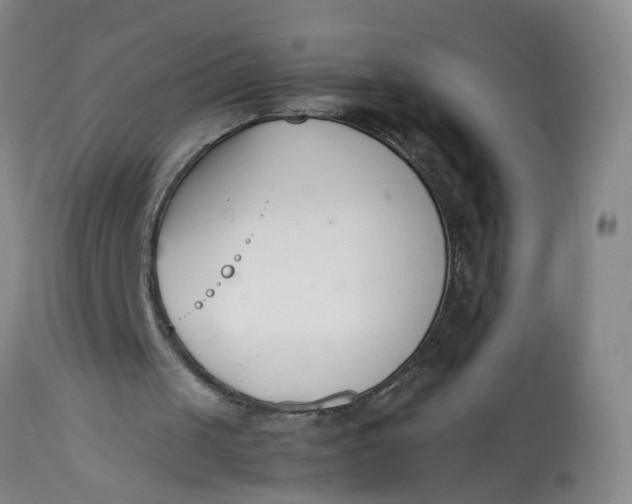 X0000113210049200910011330