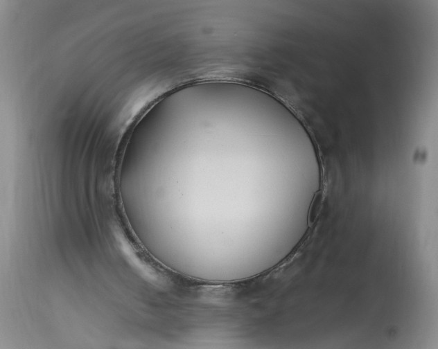 X0000113210050200910011330