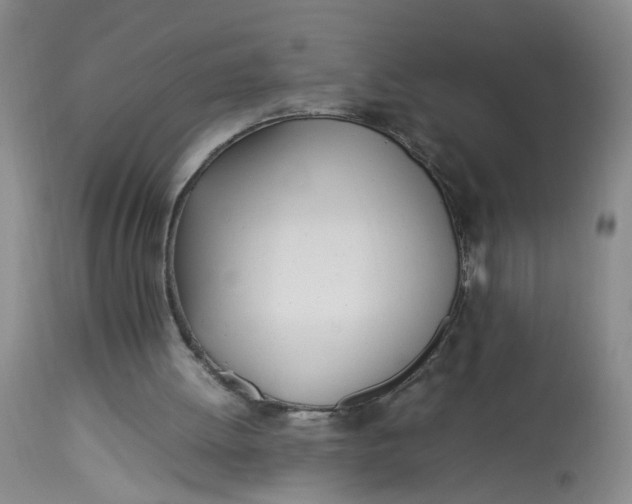 X0000113210052200910011330