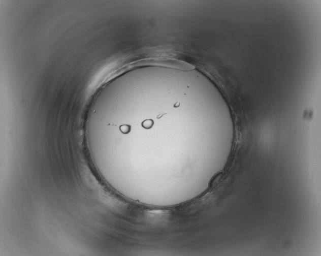 X0000113210053200910011330