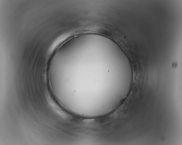 X0000113210054200910011330