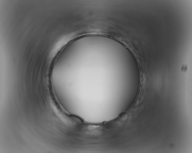 X0000113210055200910011330