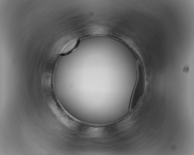 X0000113210057200910011330