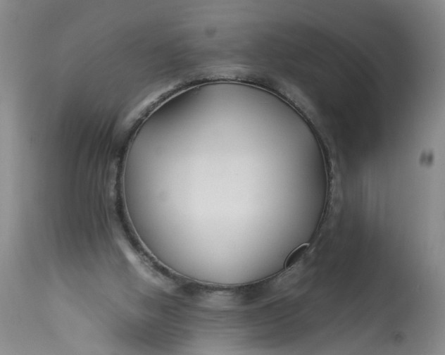 X0000113210058200910011330