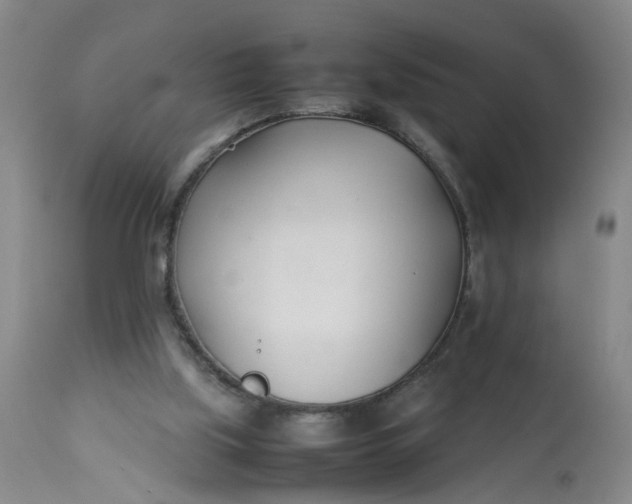 X0000113210059200910011330