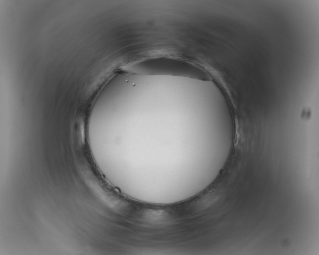 X0000113210061200910011330