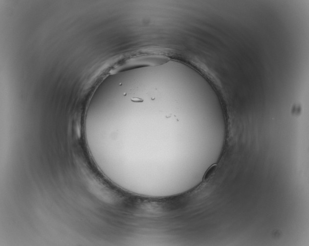 X0000113210062200910011330