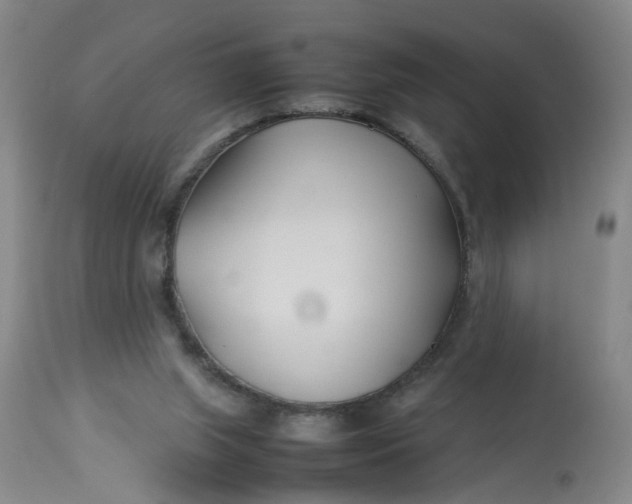 X0000113210063200910011330