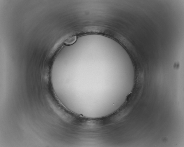 X0000113210064200910011330