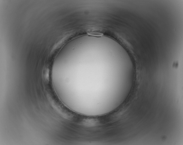 X0000113210067200910011330