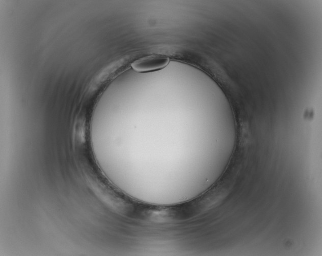 X0000113210068200910011330