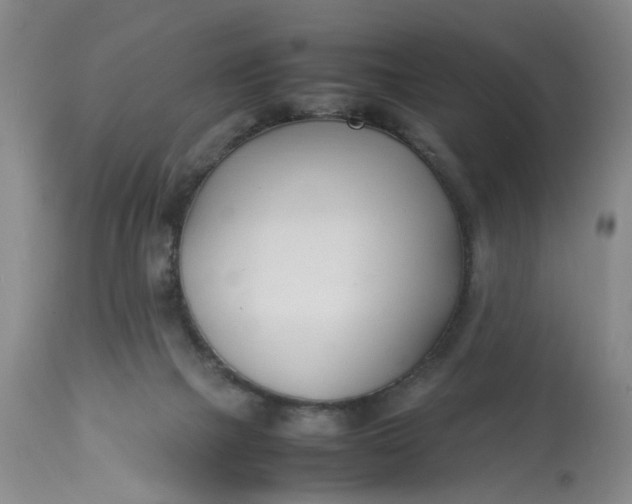 X0000113210073200910011330