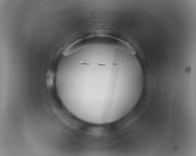 X0000113210075200910011330