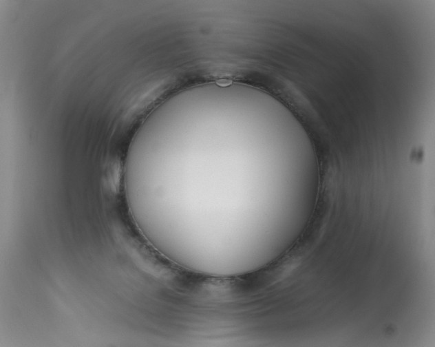 X0000113210076200910011330