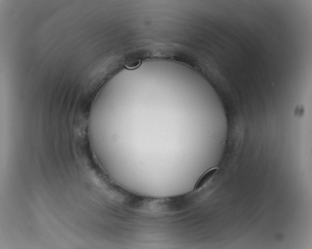 X0000113210078200910011330