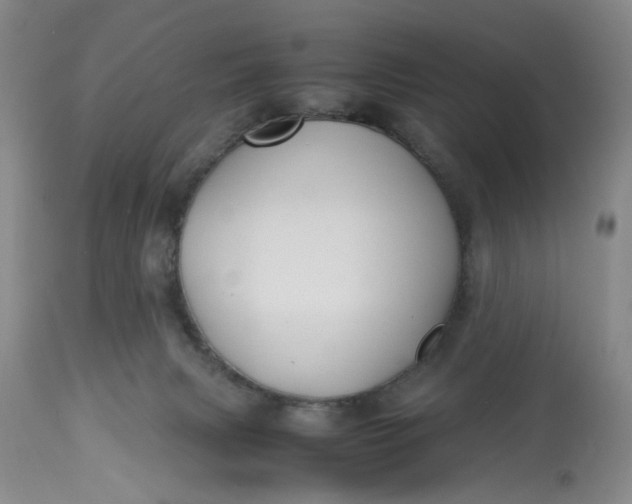 X0000113210079200910011330