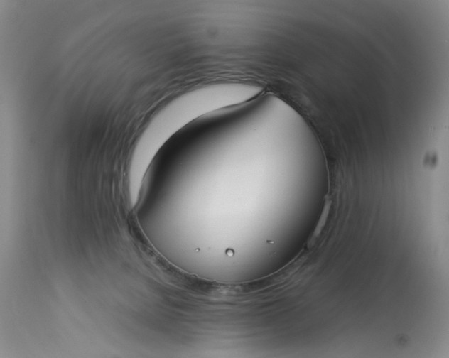 X0000113210080200910011330